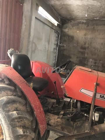 Massey Ferguson 435 - 2