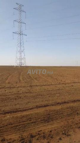 Terrain agricole à vendre - 2