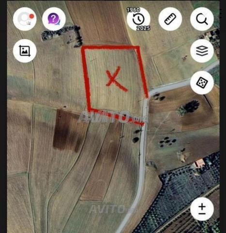 Hectare à vendre - 2