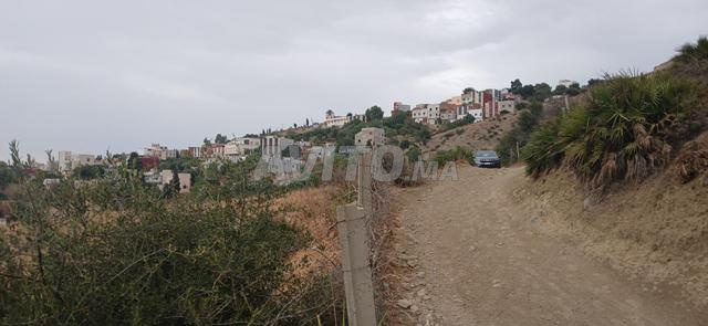 أرض 2.5 هكتار، سند ملكية في بني وسين، طريق تطوان