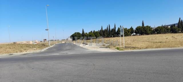 أرض 1 هكتار سند ملكية حكامة على طريق تطوان