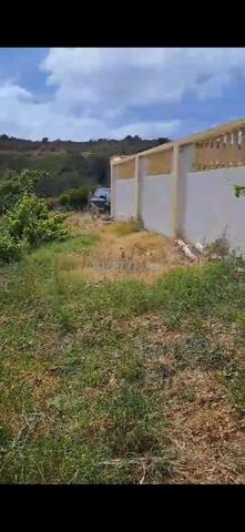 أرض ومنزل 2 هكتار في أصيلة، طريق طنجة
