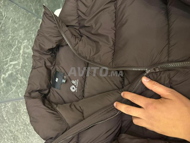 جاكيت جديد أصلي - 2