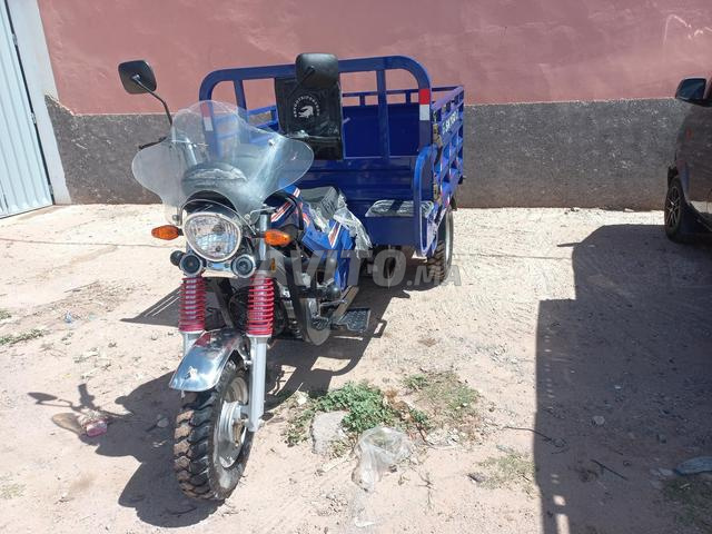 Triporteur Skygo - 2