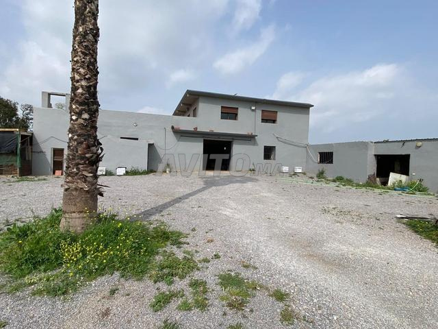 للبيع – أرض فلاحية رائعة ببوزنيقة - 2