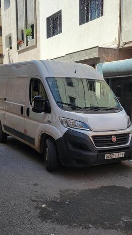 نقل البضائع إلى جميع الاتجاهات - 2