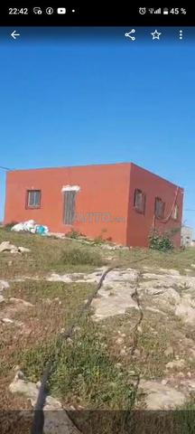 أرض تيتْر قريبة من الطريق الوطنية بحوالي عشرة أمتار