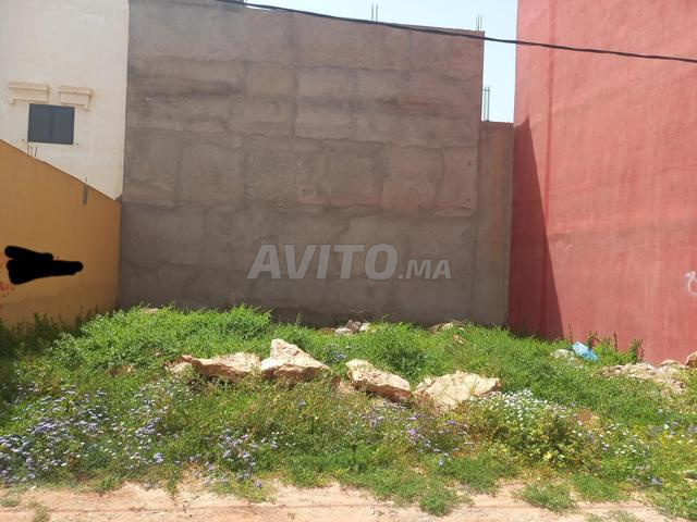 Terrain à côté de la mer - 1 minute à pied - Mirleft