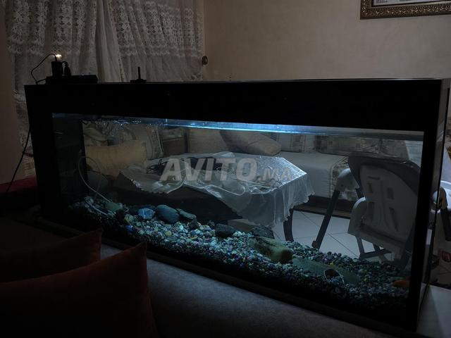 حوض سمك للبيع بحالة جيدة جداً - 2