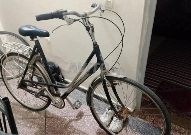 العيون، المدينة بأكملها - 2