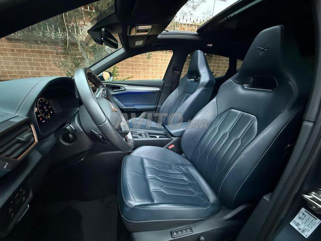 كوبرا فورمنتور جديدة، المالك الأول، كاملة الخيارات - 2