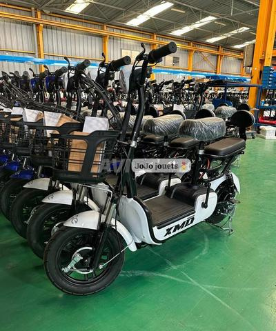 Cyclomoteur XMD Lithium 48V15Ah