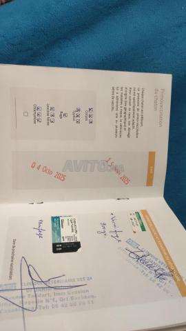 شيرازي بيرشن بيك فيس - 2