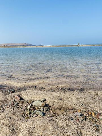 أرض للبيع 2533 م² المنصورية