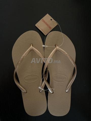 شباشب هاڤيـاناس سليم جليتر