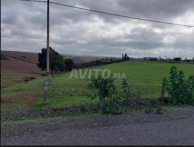 أرض مسجلة في كموني - 2