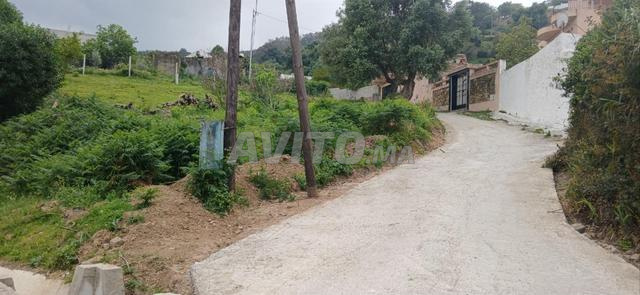 أرض للبيع بموقع هادئ وسكني - ملوسة - 2