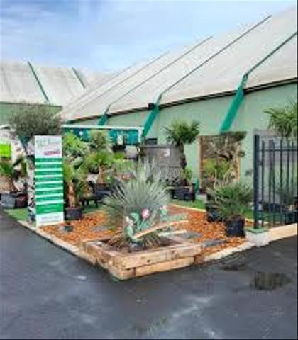 Paysagiste & Aménagement d’espaces verts Marrakech - 2