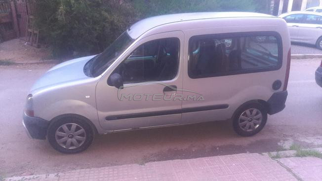 kongoo à vendre