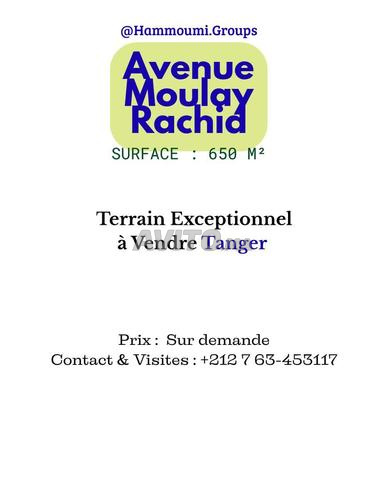 Terrain à Vendre – Avenue Moulay Rachid, Tanger