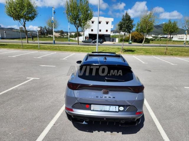 كوبرا فورمنتور - المالك الأول (مستوردة جديدة) - 2