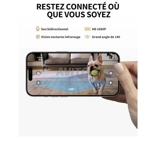 PETKIT Distributeur Croquettes Automatique Chat avec Caméra - 2