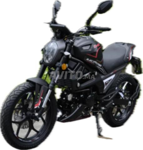 Cimatti monster EVO 4 - 2