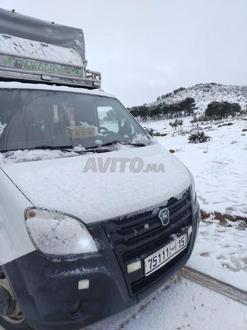 غزال نيكست جيدة - 2