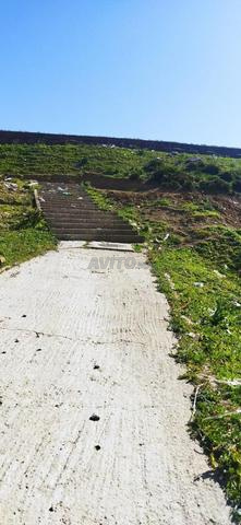 أرض للبيع مساحة 240متر - 2