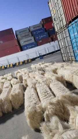 فلل تنزانيا هوتا