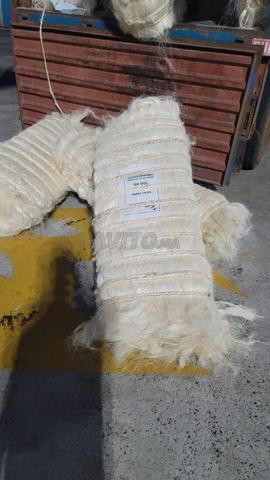 فلل تنزانيا هوتا - 2