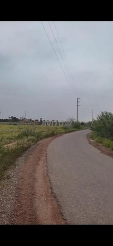 Terrain agricole constructible pour villa - 2