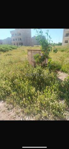 أرض ببرشيد محفظة - 2