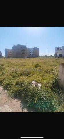 أرض ببرشيد محفظة