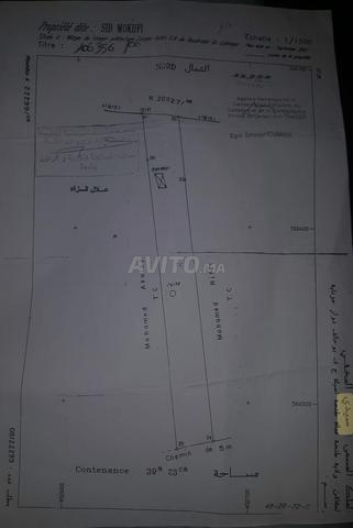 أرض للبيع