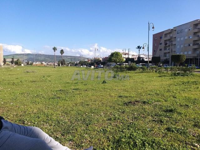 بقعة للبيع في طريق طنجة سكنية فوقي سفلي