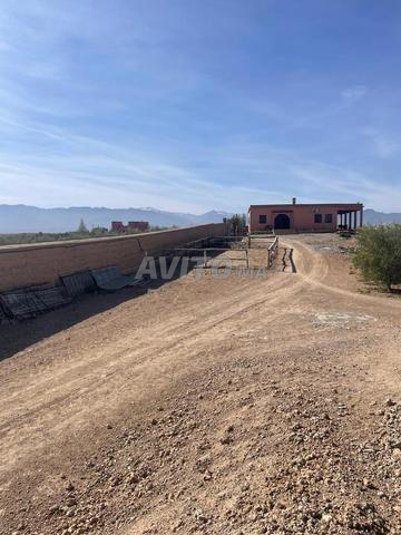 مزرعة 4 هكتار مع فيلا - 2