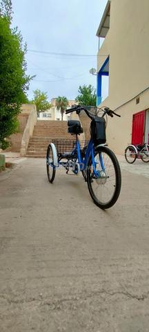 Tricycle électrique - 2