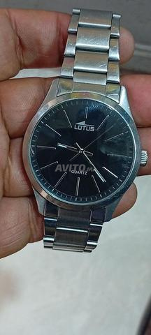 Lotus original classique. Liquidation. - 2