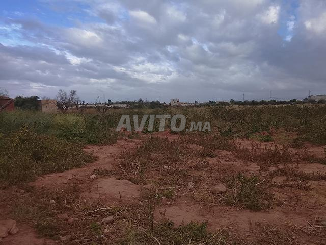 هكتار ونصف للبيع به بئر أرض مسجلة - 2