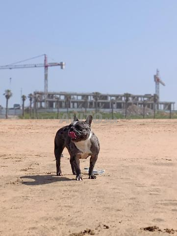 الألفة الويفق 1 زنقة 35 رقم دار 51