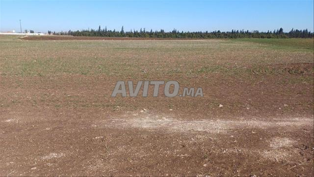 Terrains et fermes titrés – Bir Jdid - 2