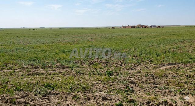 🏡 Terrain agricole à vendre – Route d'Amizmiz - Marrakech