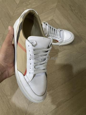 بربري أصلي - 2