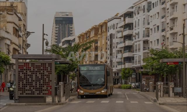 شقة مؤجرة لبنات جادات في CFC