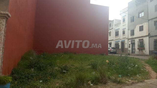 Vente terrain à Hay Merj Abi Tayeb Soufli - 2