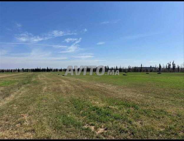 أراضٍ فلاحية محفظة بسيدي رحال للسكن والاستثمار - 2