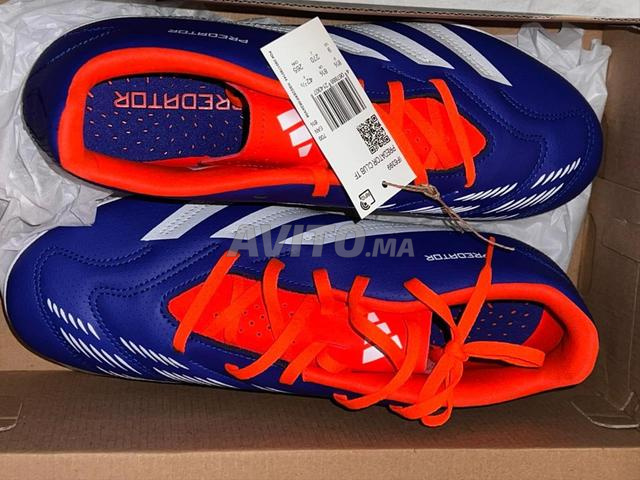 Predator original 42.5 - 2