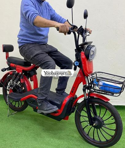 Scooter Électrique ZI YOU FENG (800W – 48V) - 2