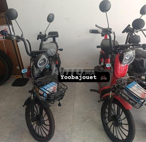 Scooter Électrique ZI YOU FENG (800W – 48V) - 2